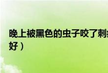 晚上被黑色的蟲子咬了刺痛（被黑色的蟲子咬了刺痛涂什么好）