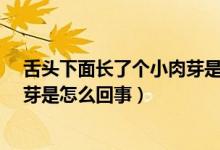 舌頭下面長了個小肉芽是怎么回事?（舌頭下面長了個小肉芽是怎么回事）