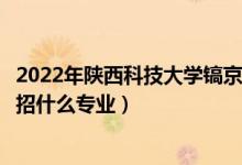 2022年陜西科技大學(xué)鎬京學(xué)院招生計(jì)劃及招生人數(shù)（各省都招什么專業(yè)）