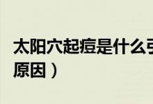 太陽穴起痘是什么引起的（太陽穴起痘是什么原因）