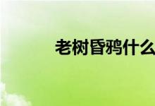 老樹(shù)昏鴉什么意思（老樹(shù)昏鴉）