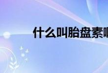 什么叫胎盤素?。ㄊ裁词翘ケP素）