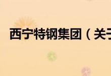 西寧特鋼集團(tuán)（關(guān)于西寧特鋼集團(tuán)的介紹）