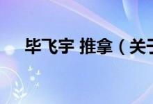 畢飛宇 推拿（關(guān)于畢飛宇 推拿的介紹）