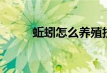 蚯蚓怎么養(yǎng)殖技術（蚯蚓怎么養(yǎng)）