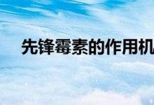 先鋒霉素的作用機(jī)制（先鋒霉素的作用）