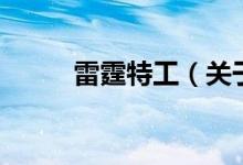 雷霆特工（關(guān)于雷霆特工的介紹）