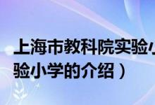 上海市教科院實驗小學(xué)（關(guān)于上海市教科院實驗小學(xué)的介紹）