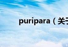 puripara（關(guān)于puripara的介紹）