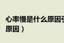心率慢是什么原因引起的嘔吐（心率慢是什么原因）
