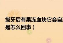 拔牙后有果凍血塊它會(huì)自動(dòng)吸收嗎（拔牙后血塊很大像果凍是怎么回事）