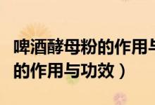 啤酒酵母粉的作用與功效有哪些（啤酒酵母粉的作用與功效）