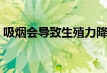 吸煙會(huì)導(dǎo)致生殖力降低嗎（吸煙導(dǎo)致陽(yáng)痿嗎）