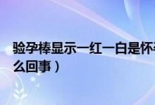 驗孕棒顯示一紅一白是懷孕嗎（驗孕棒一紅一白懷孕了是怎么回事）