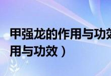 甲強(qiáng)龍的作用與功效用于慢阻肺（甲強(qiáng)龍的作用與功效）