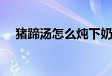 豬蹄湯怎么燉下奶（豬蹄湯怎么燉下奶）