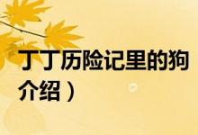 丁丁歷險(xiǎn)記里的狗（關(guān)于丁丁歷險(xiǎn)記里的狗的介紹）