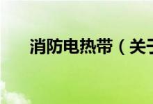 消防電熱帶（關(guān)于消防電熱帶的介紹）