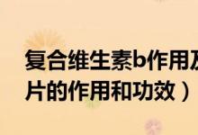 復(fù)合維生素b作用及功能主治（復(fù)合維生素b片的作用和功效）