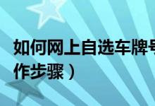 如何網(wǎng)上自選車牌號（全國通用）（有哪些操作步驟）