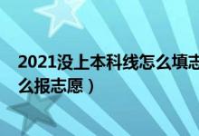 2021沒上本科線怎么填志愿（2022沒到本科線應(yīng)該什么怎么報(bào)志愿）
