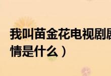 我叫苗金花電視劇劇情（我叫苗金花電視劇劇情是什么）