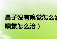 鼻子沒有嗅覺怎么治哪家醫(yī)院最好（鼻子沒有嗅覺怎么治）