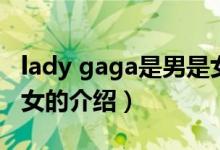 lady gaga是男是女（關(guān)于lady gaga是男是女的介紹）