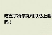 吃五子衍宗丸可以馬上要小孩嗎（吃五子衍宗丸可以要小孩嗎）