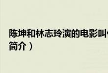 陳坤和林志玲演的電影叫什么名字（陳坤和林志玲演的電影簡(jiǎn)介）