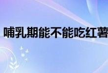 哺乳期能不能吃紅薯（哺乳期能不能吃紅薯）