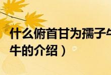 什么俯首甘為孺子牛（關于什么俯首甘為孺子牛的介紹）