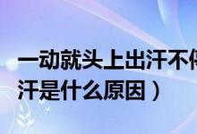 一動(dòng)就頭上出汗不停是什么原因（頭部容易出汗是什么原因）