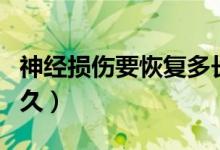 神經(jīng)損傷要恢復(fù)多長時(shí)間（神經(jīng)損傷恢復(fù)要多久）