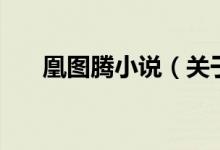 凰圖騰小說（關(guān)于凰圖騰小說的介紹）
