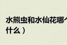 水熊蟲和水仙花哪個(gè)生命強(qiáng)（水仙花的特點(diǎn)是什么）