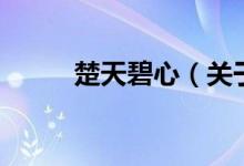 楚天碧心（關(guān)于楚天碧心的介紹）