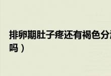 排卵期肚子疼還有褐色分泌物（排卵期出褐色的分泌物正常嗎）