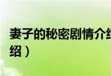 妻子的秘密劇情介紹（關于妻子的秘密劇情介紹）