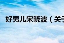 好男兒宋曉波（關(guān)于好男兒宋曉波的介紹）