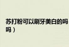 蘇打粉可以刷牙美白的嗎（用小蘇打刷牙真的可以美白牙齒嗎）