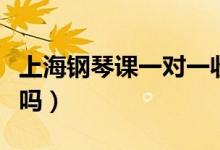 上海鋼琴課一對(duì)一收費(fèi)標(biāo)準(zhǔn)(學(xué)鋼琴的費(fèi)用高嗎)