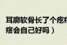 耳廓軟骨長了個疙瘩圖片（耳廓軟骨長了個疙瘩會自己好嗎）