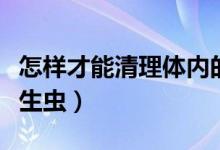 怎樣才能清理體內(nèi)的寄生蟲（如何清理體內(nèi)寄生蟲）