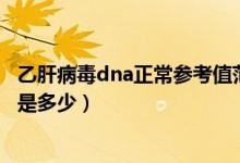 乙肝病毒dna正常參考值范圍（乙肝DNA病毒的定量參考值是多少）