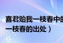 喜君貽我一枝春中的一枝春指的是（喜君貽我一枝春的出處）