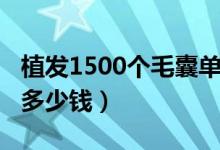 植發(fā)1500個毛囊單位面積圖（植發(fā)1500單位多少錢）