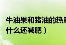 牛油果和豬油的熱量哪個(gè)高（牛油果熱量高為什么還減肥）