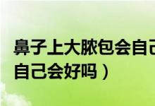 鼻子上大膿包會自己消除嗎（鼻子上的大膿包自己會好嗎）