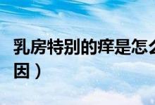 乳房特別的癢是怎么回事（乳房很癢是什么原因）